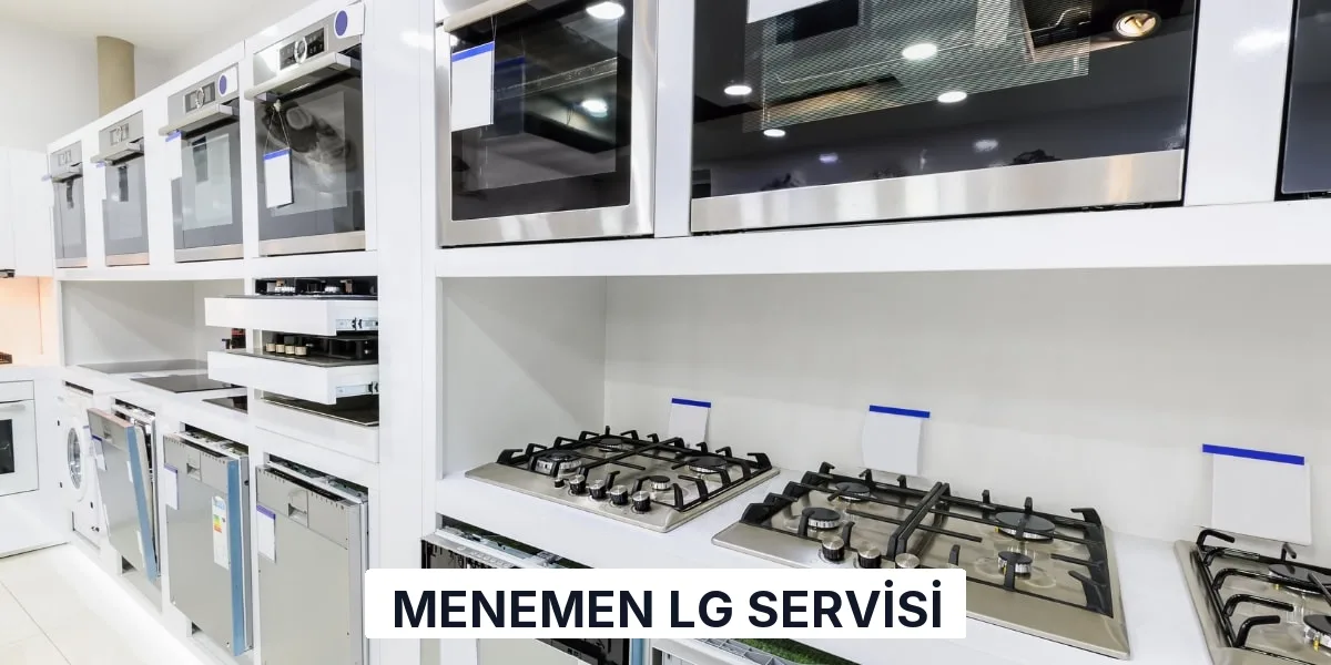 Menemen LG Servisi
