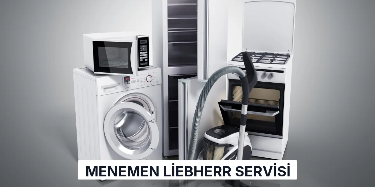Menemen Liebherr Servisi